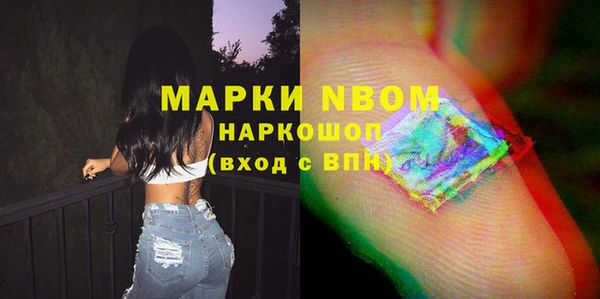индика Баксан