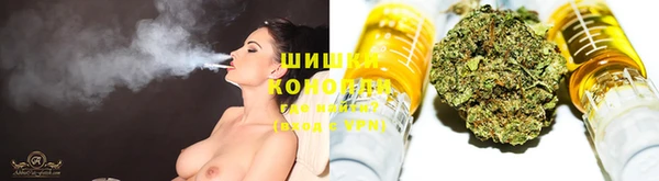 индика Баксан