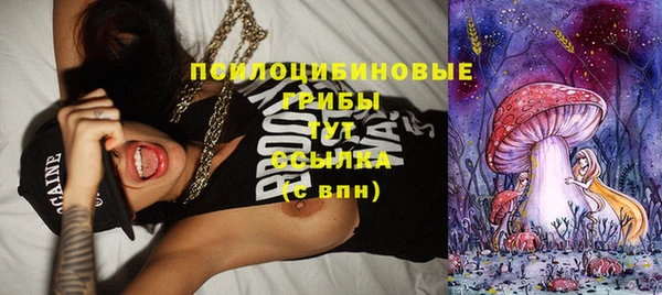 индика Баксан