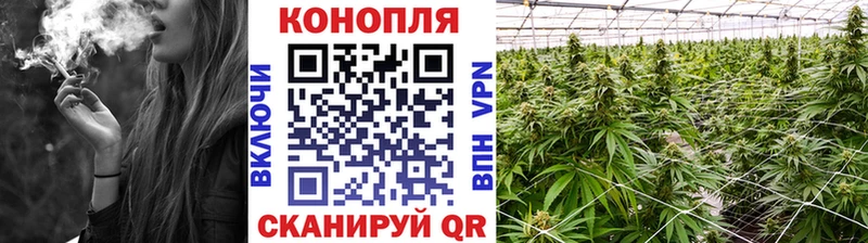 как найти Льгов Марихуана гибрид